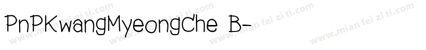 PnPKwangMyeongChe B字体转换